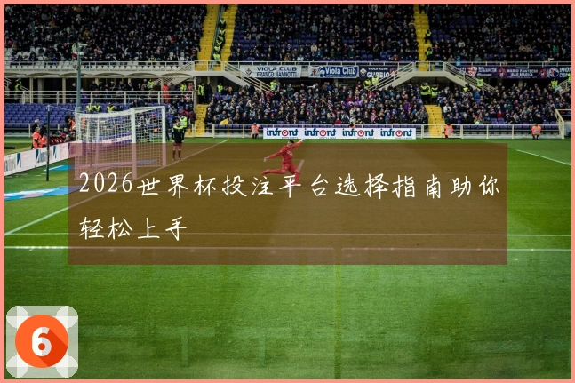 2026世界杯投注平台选择指南助你轻松上手