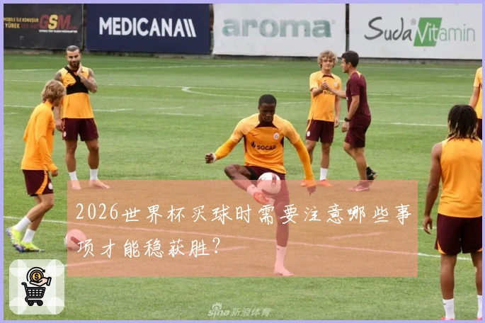 2026世界杯买球时需要注意哪些事项才能稳获胜？