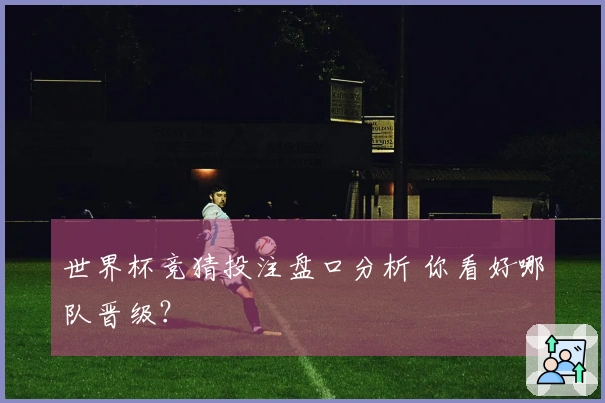 世界杯竞猜投注盘口分析 你看好哪队晋级？
