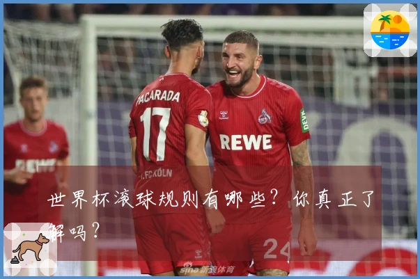 世界杯滚球规则有哪些？你真正了解吗？